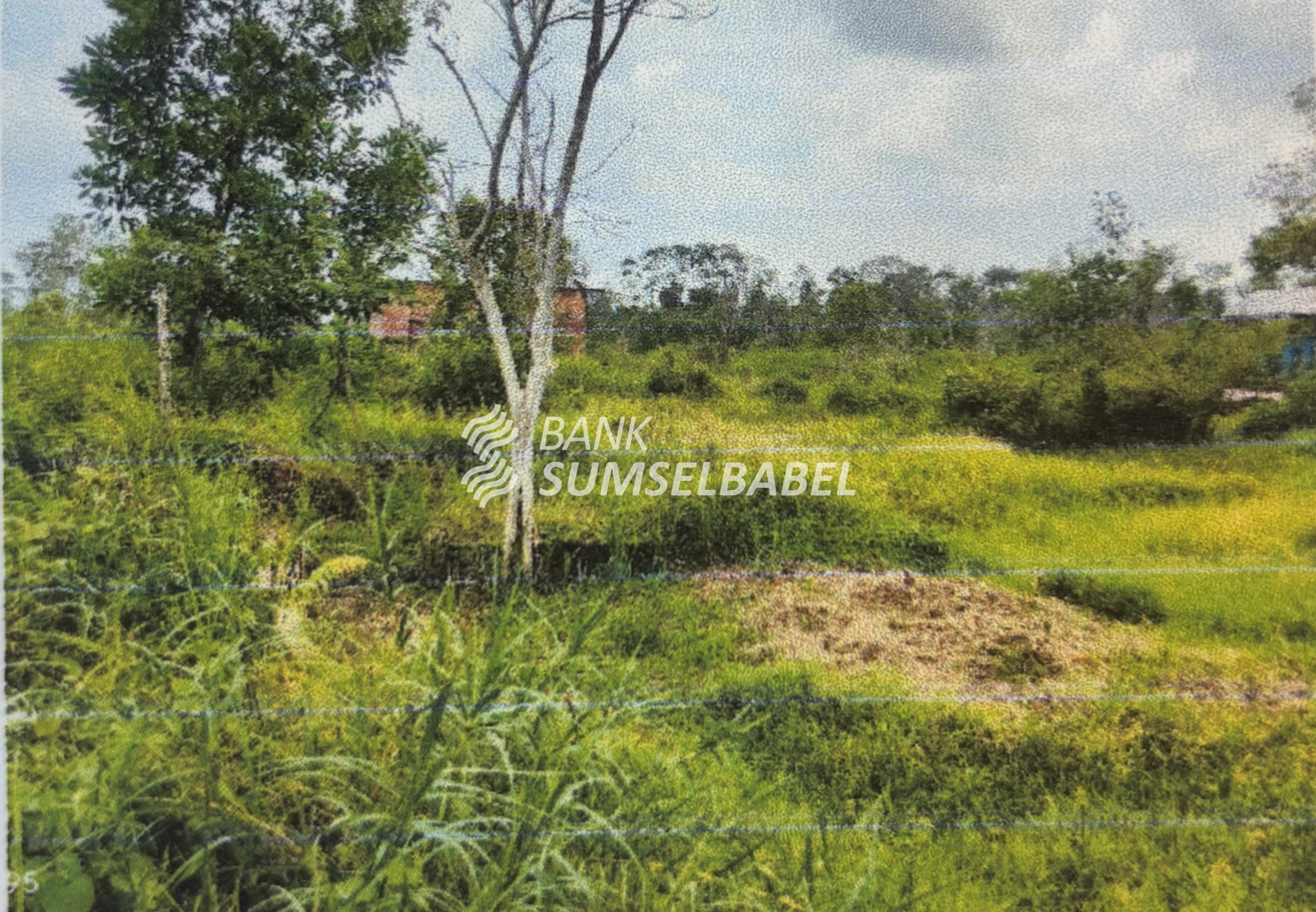 Tanah